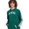 adidas Codes Collegiate Graphic kapucnis zöld férfi pulóver