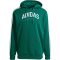 adidas Codes Collegiate Graphic kapucnis zöld férfi pulóver