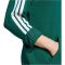 adidas Codes Collegiate Graphic kapucnis zöld férfi pulóver