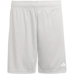 adidas Entrada 26 szürke férfi tréning rövidnadrág