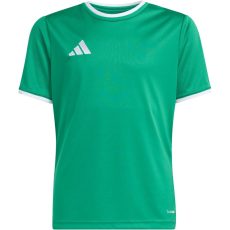 adidas Entrada 26 zöld gyerek mez