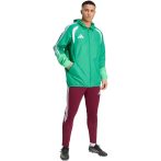adidas Tiro 26 minden időjárásI zöld férfi dzseki