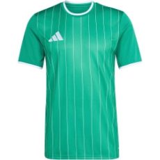 adidas Entrada 26 Graphic zöld férfi mez