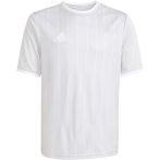 adidas Entrada 26 Graphic szürke gyerek mez