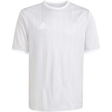 adidas Entrada 26 Graphic szürke gyerek mez