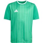 adidas Entrada 26 Graphic zöld gyerek mez