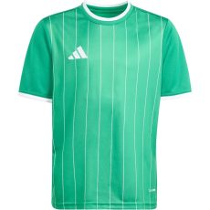 adidas Entrada 26 Graphic zöld gyerek mez