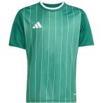 adidas Entrada 26 Graphic sötétzöld gyerek mez