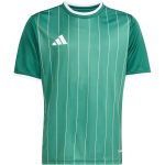 adidas Entrada 26 Graphic sötétzöld gyerek mez