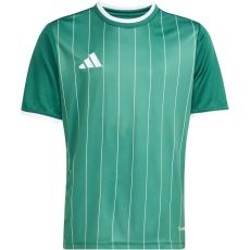 adidas Entrada 26 Graphic sötétzöld gyerek mez