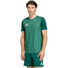 adidas Entrada 26 Graphic sötétzöld férfi mez