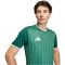 adidas Entrada 26 Graphic sötétzöld férfi mez