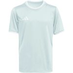 adidas Entrada 26 gyerek mez
